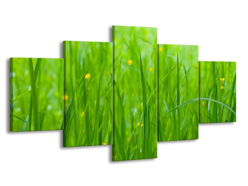 Canvas Schilderij Natuur, Gras | Zwart, Groen | 150x80cm 5Luik
