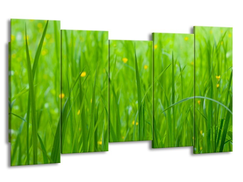 Canvas Schilderij Natuur, Gras | Zwart, Groen | 150x80cm 5Luik