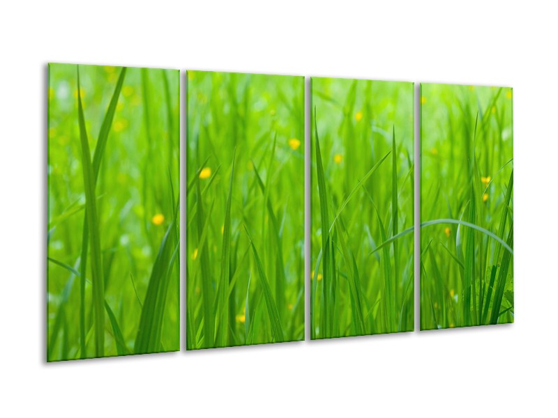 Canvas Schilderij Natuur, Gras | Zwart, Groen | 160x80cm 4Luik