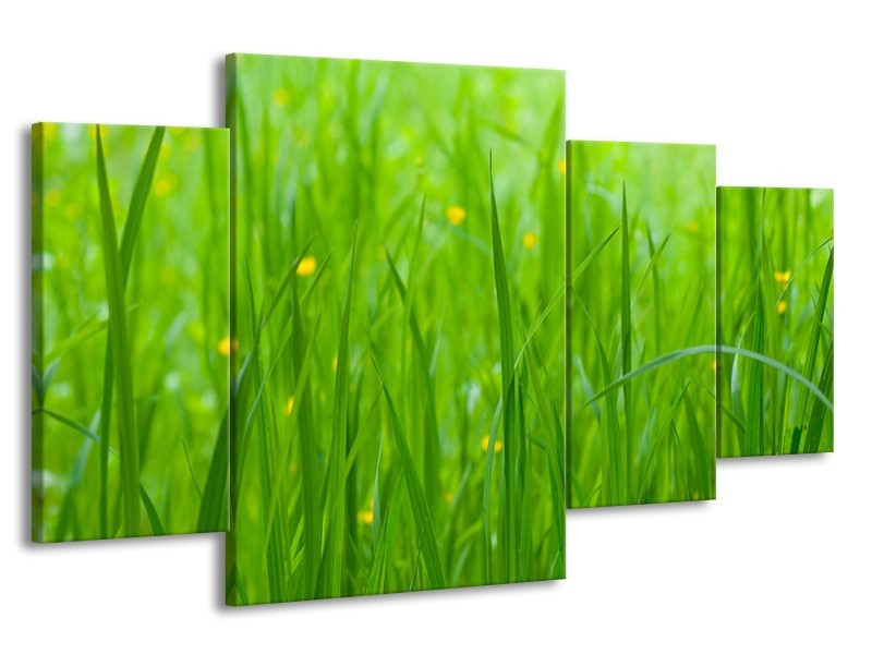 Glasschilderij Natuur, Gras | Zwart, Groen | 160x90cm 4Luik