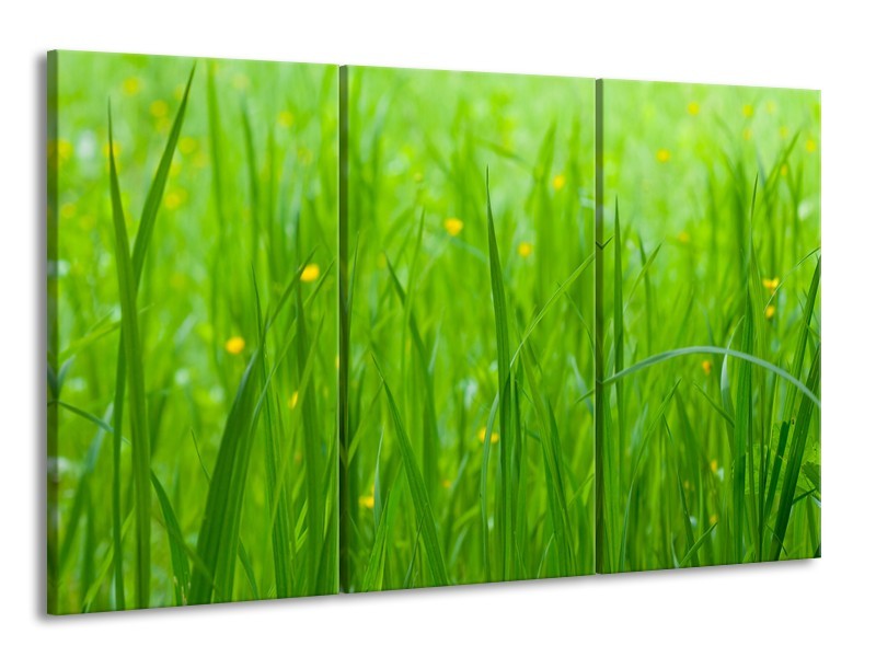 Canvas Schilderij Natuur, Gras | Zwart, Groen | 165x100cm 3Luik
