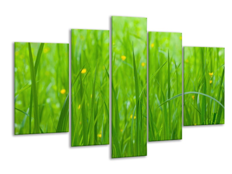 Canvas Schilderij Natuur, Gras | Zwart, Groen | 170x100cm 5Luik
