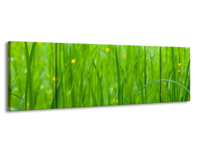 Glasschilderij Natuur, Gras | Zwart, Groen | 170x50cm 3Luik