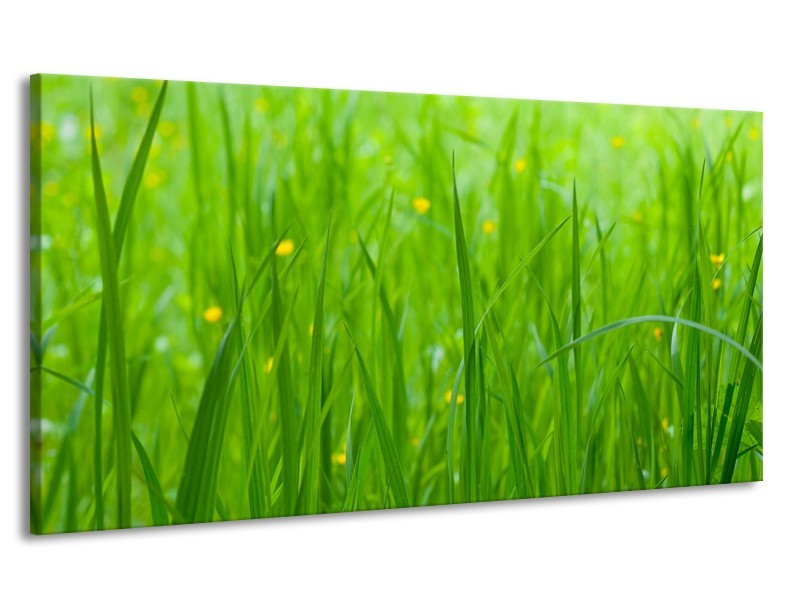 Canvas Schilderij Natuur, Gras | Zwart, Groen | 170x90cm 1Luik