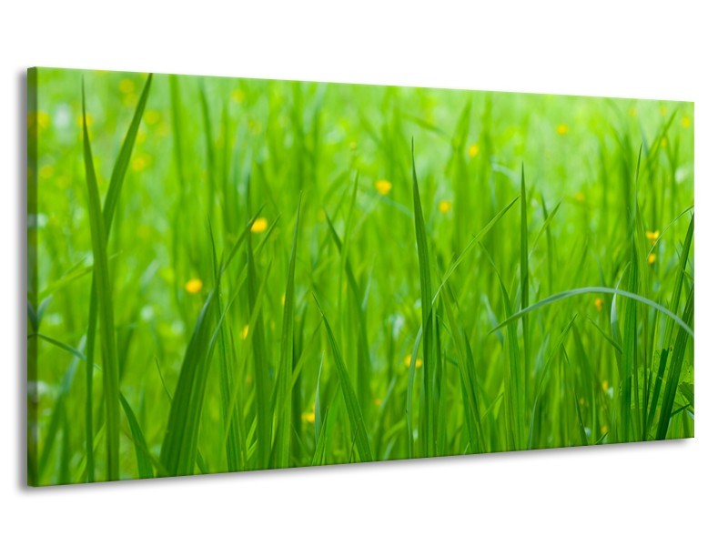 Canvas Schilderij Natuur, Gras | Zwart, Groen | 170x90cm 1Luik