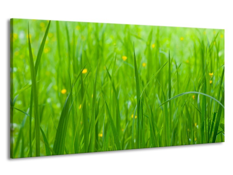 Canvas Schilderij Natuur, Gras | Zwart, Groen | 190x100cm 1Luik