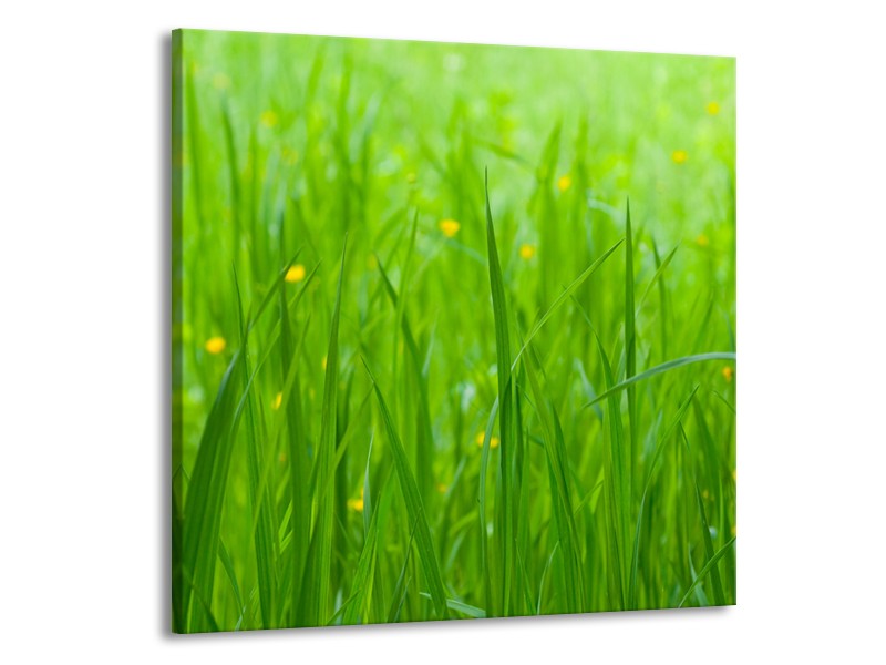 Canvas Schilderij Natuur, Gras | Zwart, Groen | 50x50cm 1Luik