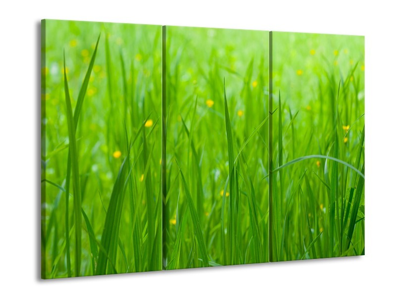 Canvas Schilderij Natuur, Gras | Zwart, Groen | 60x90cm 3Luik