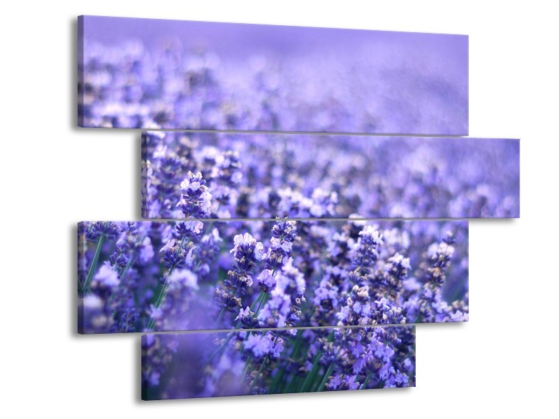 Canvas Schilderij Lavendel, Landelijk | Paars, Blauw | 115x85cm 4Luik