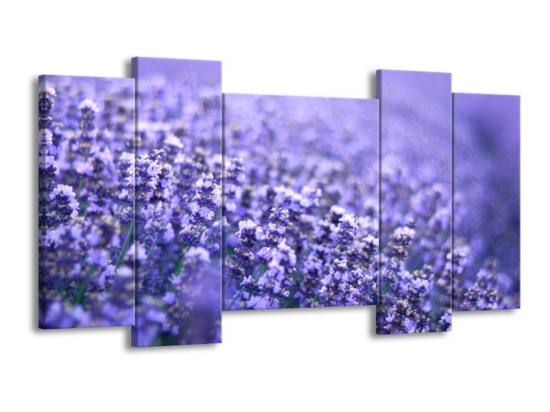 Canvas Schilderij Lavendel, Landelijk | Paars, Blauw | 120x65cm 5Luik