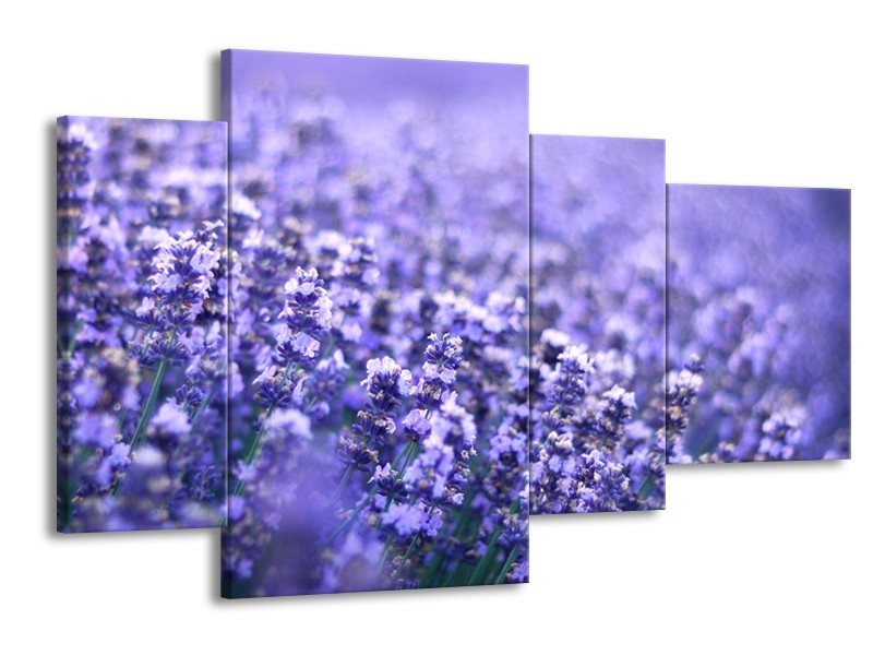 Canvas Schilderij Lavendel, Landelijk | Paars, Blauw | 120x75cm 4Luik