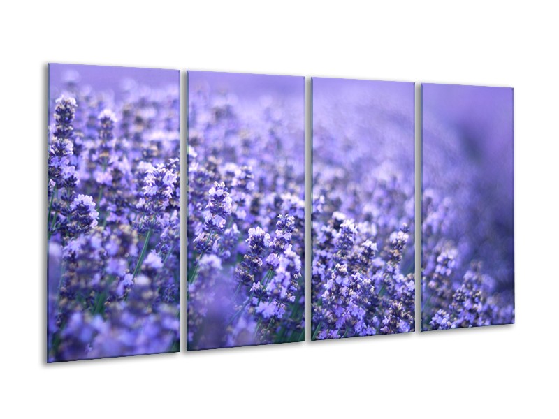Canvas Schilderij Lavendel, Landelijk | Paars, Blauw | 160x80cm 4Luik