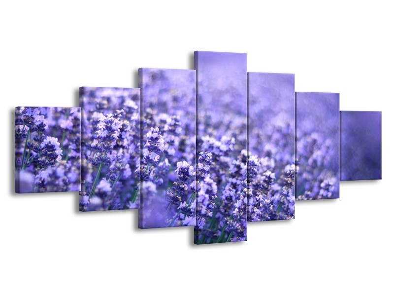 Glasschilderij Lavendel, Landelijk | Paars, Blauw | 210x100cm 7Luik