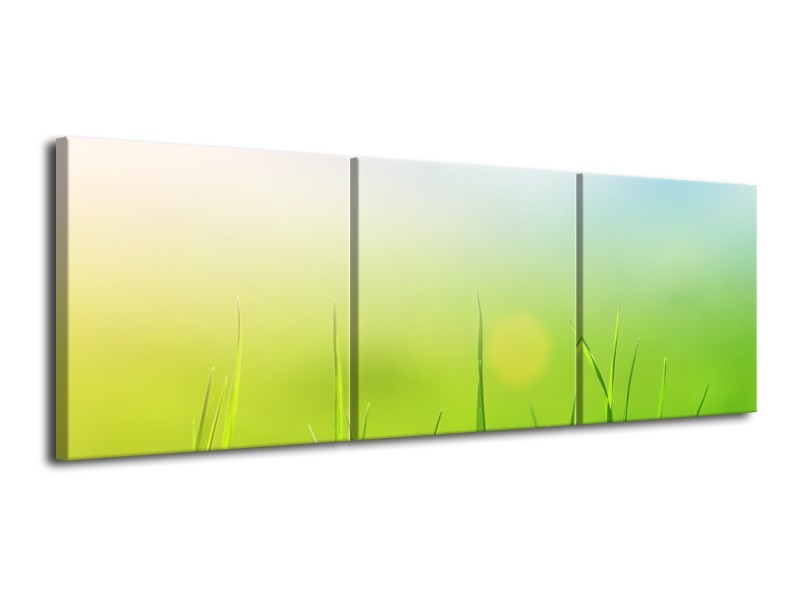 Glasschilderij Natuur, Gras | Groen, Geel | 120x40cm 3Luik