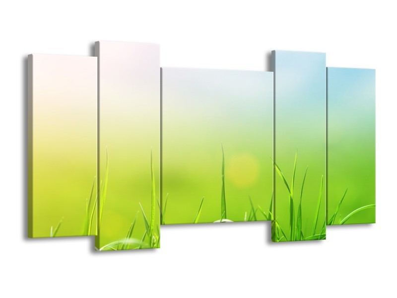Canvas Schilderij Natuur, Gras | Groen, Geel | 120x65cm 5Luik