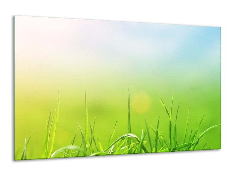 Glasschilderij Natuur, Gras | Groen, Geel | 120x70cm 1Luik
