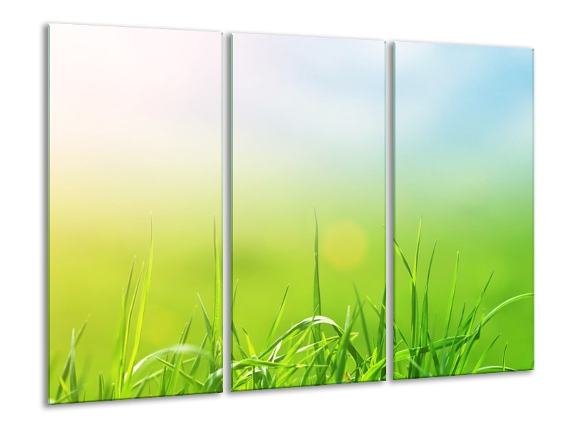 Glasschilderij Natuur, Gras | Groen, Geel | 120x80cm 3Luik