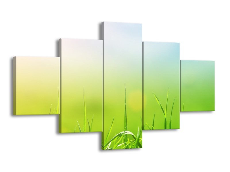 Canvas Schilderij Natuur, Gras | Groen, Geel | 125x70cm 5Luik