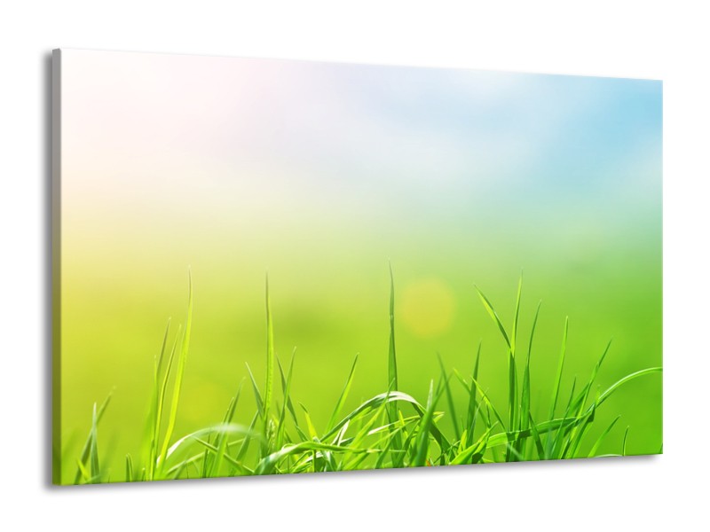 Canvas Schilderij Natuur, Gras | Groen, Geel | 140x90cm 1Luik