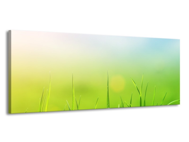 Canvas Schilderij Natuur, Gras | Groen, Geel | 145x58cm 1Luik