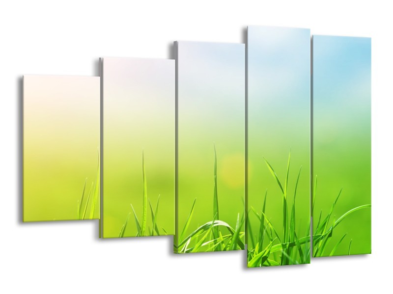 Canvas Schilderij Natuur, Gras | Groen, Geel | 150x100cm 5Luik