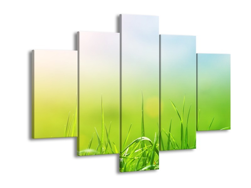 Canvas Schilderij Natuur, Gras | Groen, Geel | 150x105cm 5Luik