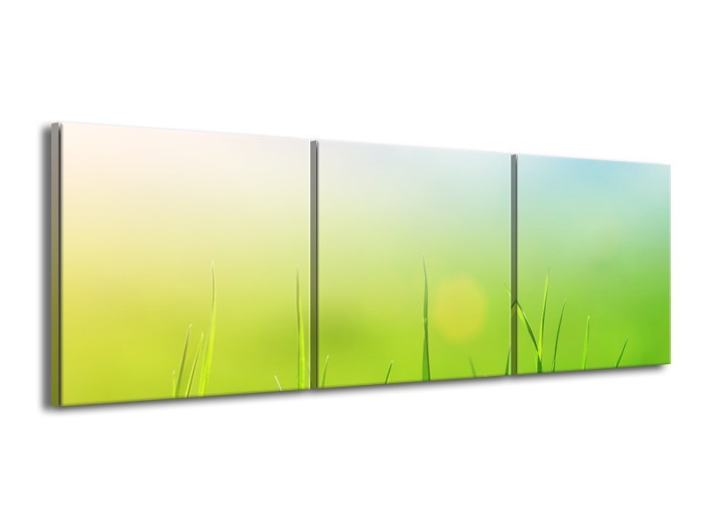 Glasschilderij Natuur, Gras | Groen, Geel | 150x50cm 3Luik