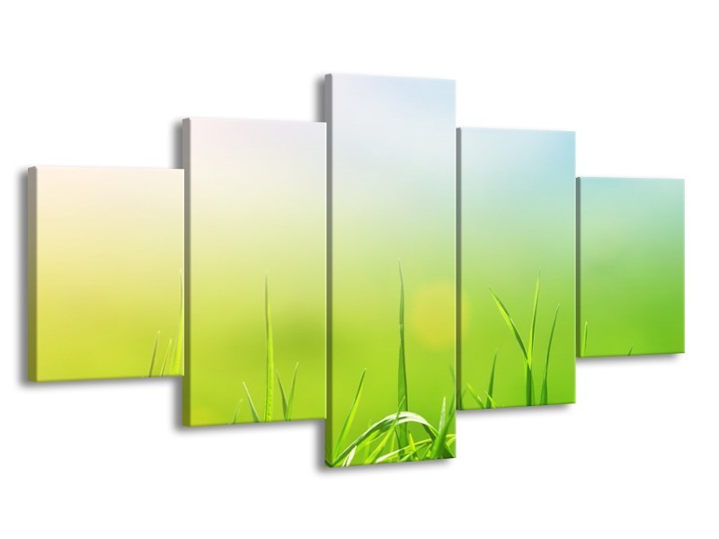 Canvas Schilderij Natuur, Gras | Groen, Geel | 150x80cm 5Luik