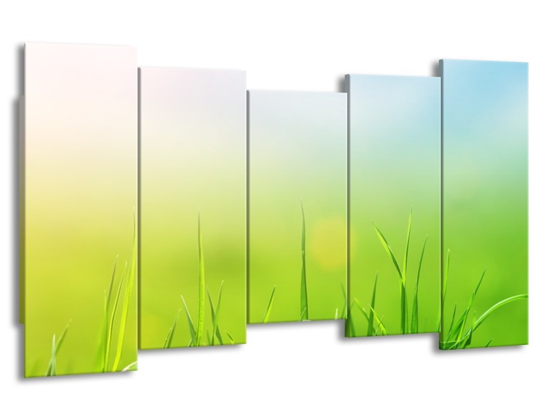 Canvas Schilderij Natuur, Gras | Groen, Geel | 150x80cm 5Luik