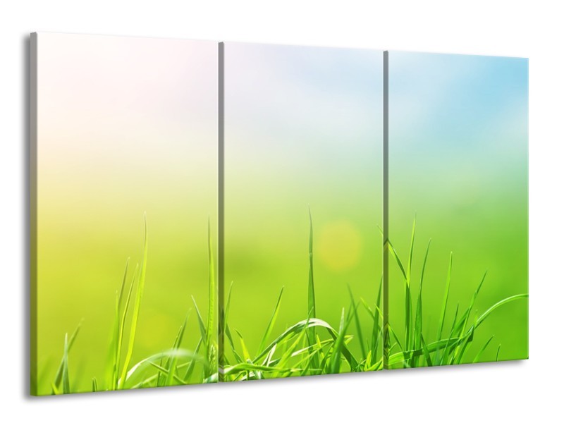 Glasschilderij Natuur, Gras | Groen, Geel | 165x100cm 3Luik