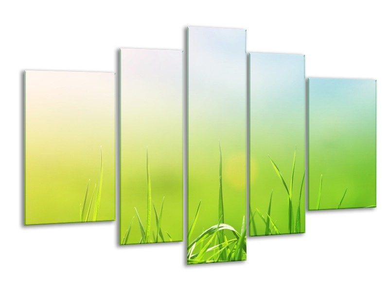Canvas Schilderij Natuur, Gras | Groen, Geel | 170x100cm 5Luik