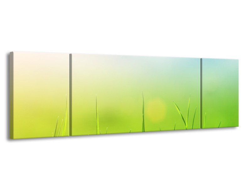 Canvas Schilderij Natuur, Gras | Groen, Geel | 170x50cm 3Luik