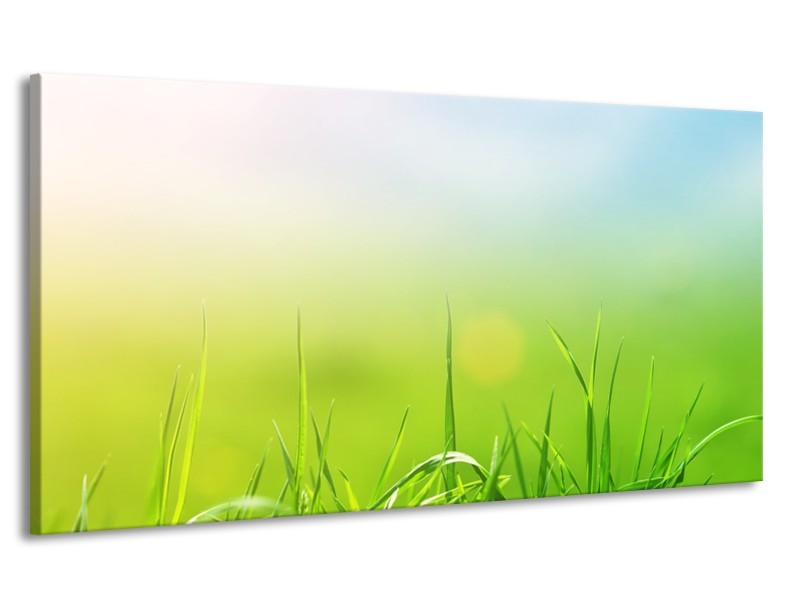 Canvas Schilderij Natuur, Gras | Groen, Geel | 170x90cm 1Luik
