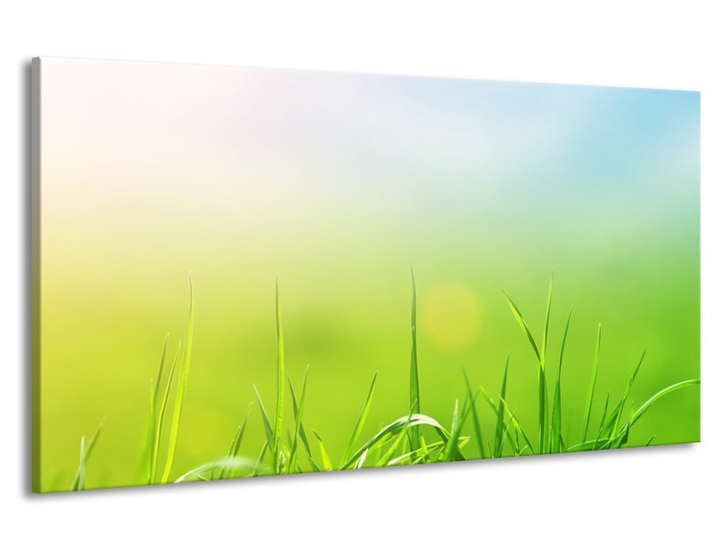 Canvas Schilderij Natuur, Gras | Groen, Geel | 190x100cm 1Luik