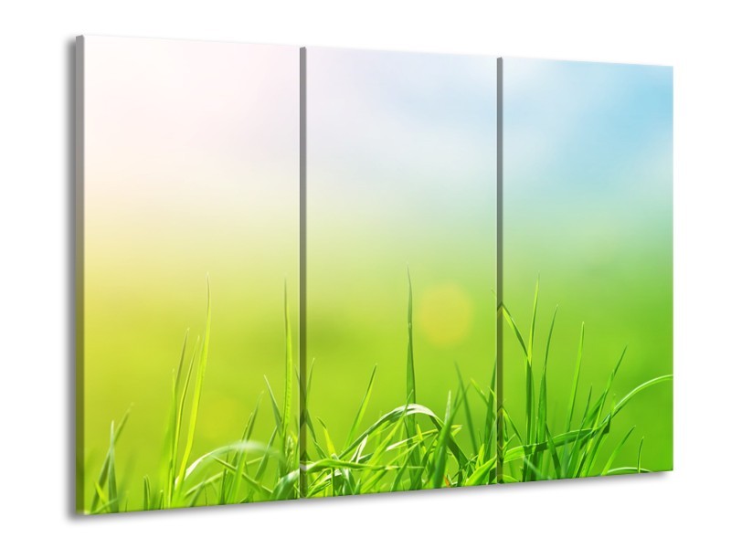 Glasschilderij Natuur, Gras | Groen, Geel | 60x90cm 3Luik