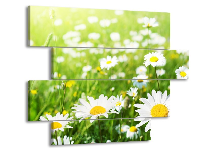 Canvas Schilderij Madeliefje, Bloemen | Groen, Wit, Geel | 115x85cm 4Luik