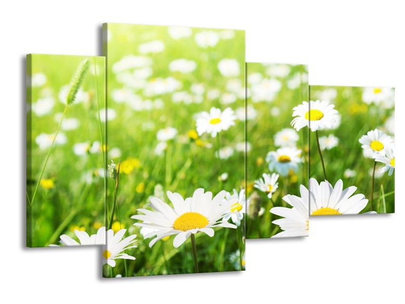 Canvas Schilderij Madeliefje, Bloemen | Groen, Wit, Geel | 120x75cm 4Luik