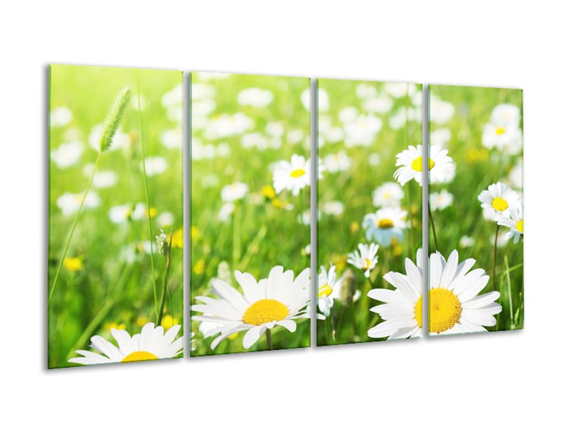 Canvas Schilderij Madeliefje, Bloemen | Groen, Wit, Geel | 160x80cm 4Luik