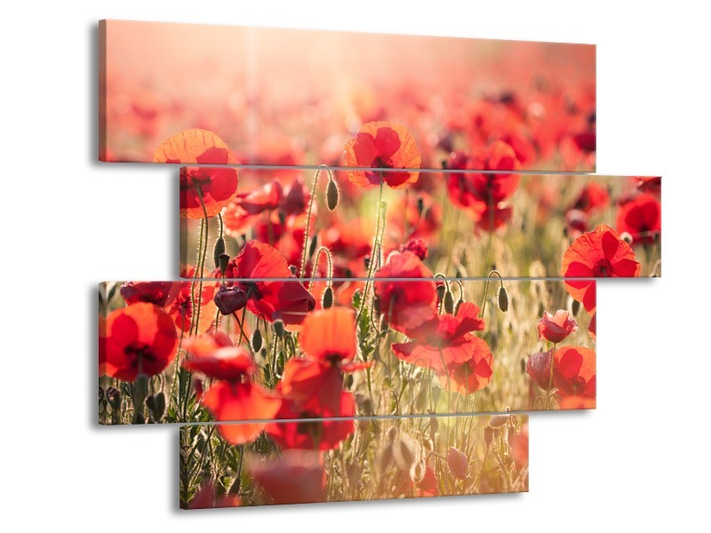 Canvas Schilderij Klaproos, Bloemen | Rood, Bruin | 115x85cm 4Luik