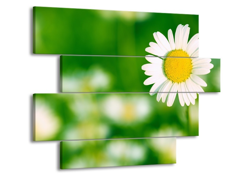 Glasschilderij Madeliefje, Bloemen | Groen, Wit, Geel | 115x85cm 4Luik