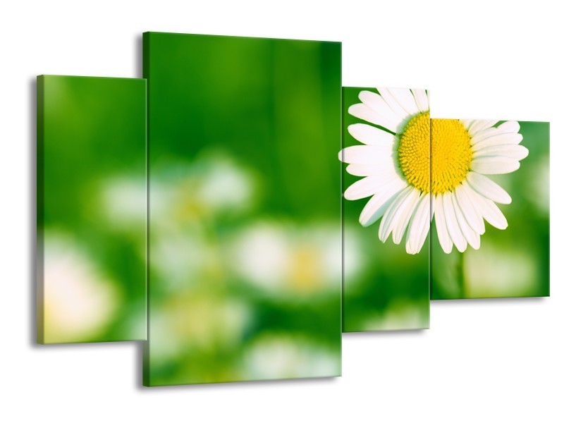Glasschilderij Madeliefje, Bloemen | Groen, Wit, Geel | 120x75cm 4Luik