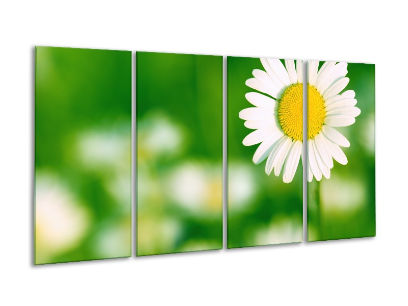 Canvas Schilderij Madeliefje, Bloemen | Groen, Wit, Geel | 160x80cm 4Luik