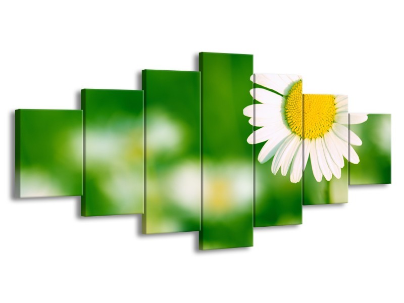 Glasschilderij Madeliefje, Bloemen | Groen, Wit, Geel | 210x100cm 7Luik