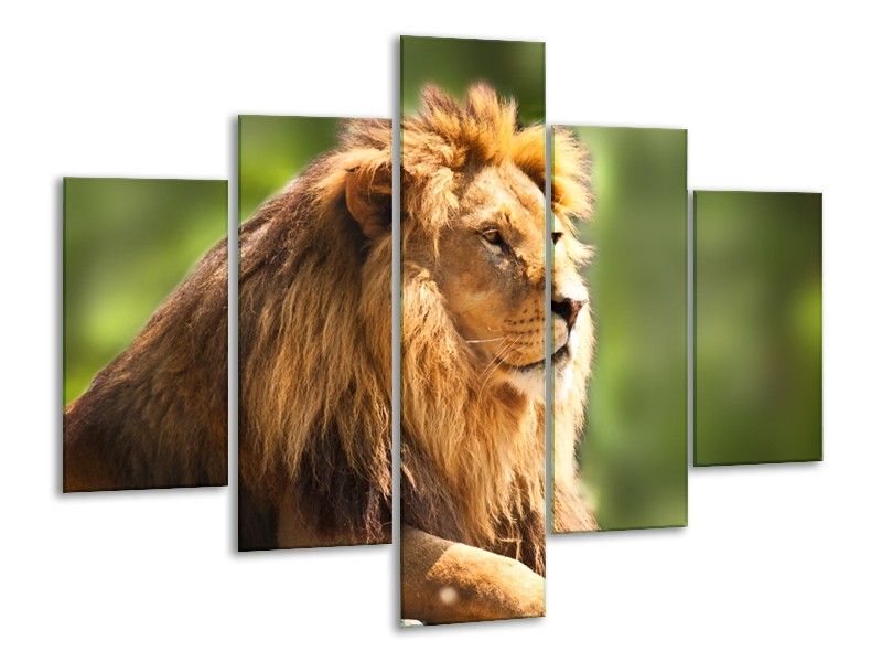 Canvas Schilderij Leeuw, Dieren | Bruin, Groen | 100x70cm 5Luik