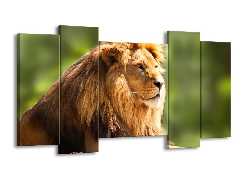 Canvas Schilderij Leeuw, Dieren | Bruin, Groen | 120x65cm 5Luik