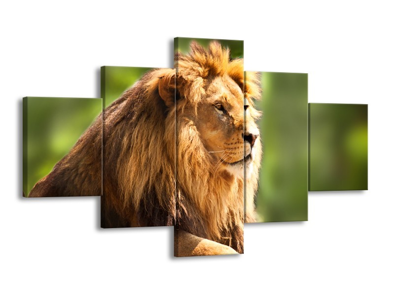 Canvas Schilderij Leeuw, Dieren | Bruin, Groen | 125x70cm 5Luik