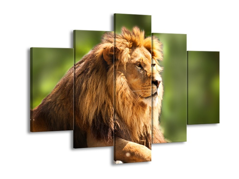 Canvas Schilderij Leeuw, Dieren | Bruin, Groen | 150x105cm 5Luik