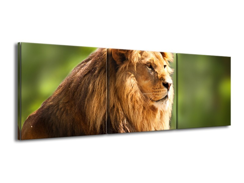 Canvas Schilderij Leeuw, Dieren | Bruin, Groen | 150x50cm 3Luik