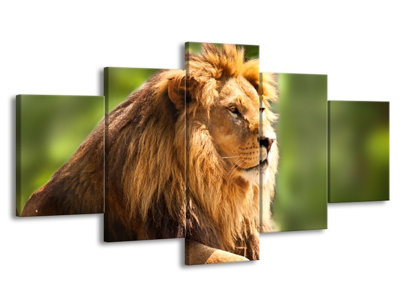 Canvas Schilderij Leeuw, Dieren | Bruin, Groen | 150x80cm 5Luik