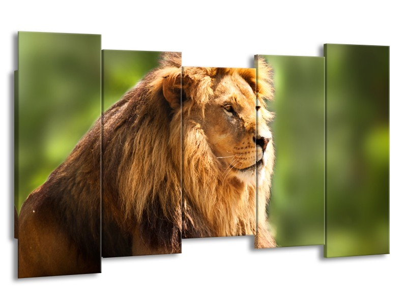 Canvas Schilderij Leeuw, Dieren | Bruin, Groen | 150x80cm 5Luik